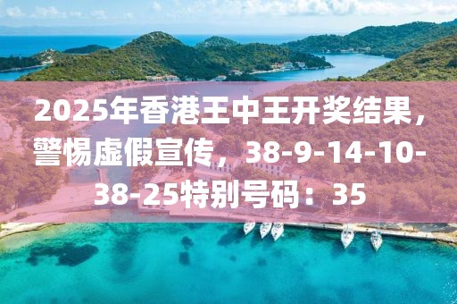 2025年香港王中王开奖结果，警惕虚假宣传，38-9-14-10-38-25特别号码：35
