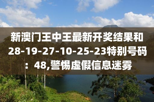 新澳门王中王最新开奖结果和28-19-27-10-25-23特别号码：48,警惕虚假信息迷雾