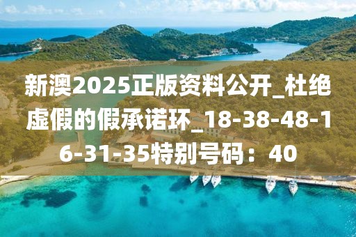 新澳2025正版资料公开_杜绝虚假的假承诺环_18-38-48-16-31-35特别号码：40